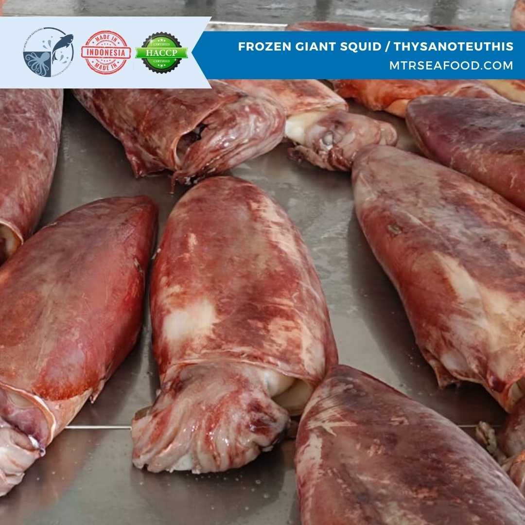 FROZEN GIANT SQUID _ THYSANOTEUTHIS MTRSEAFOOD.COM.jpg
