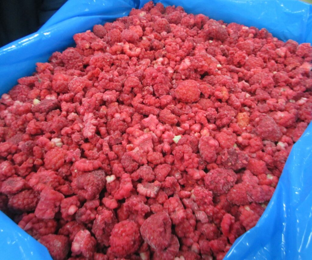 IQF-Raspberries-Whole-Broken-And-Pieces-2022-1-1024x855.jpg