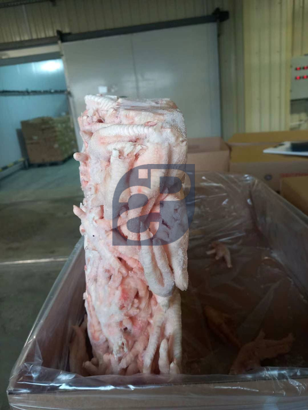 Chicken Feet - Standard & Partners #5.jpg