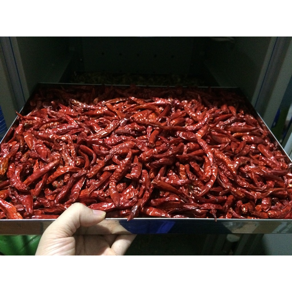 chillies.jpg