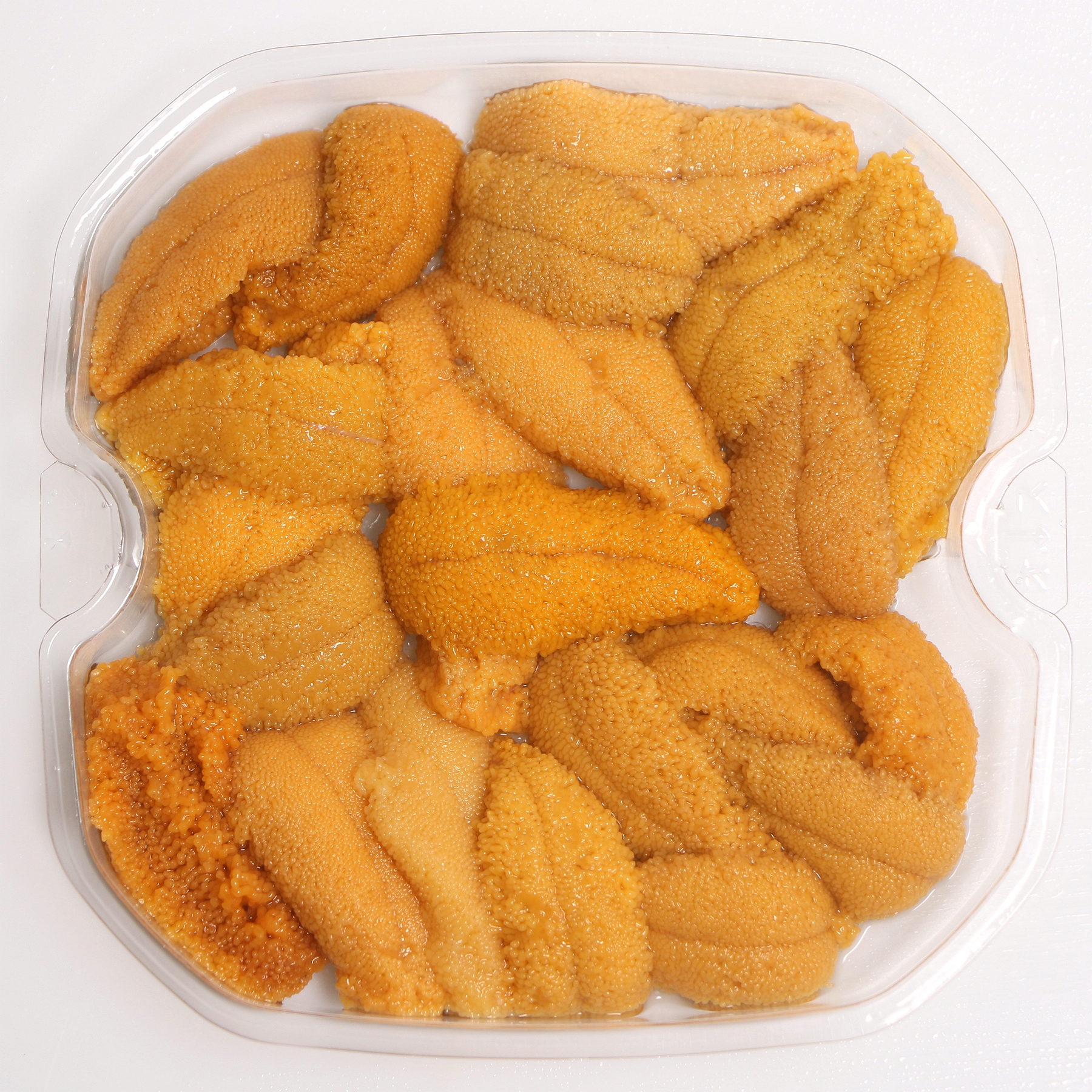 uni.jpg