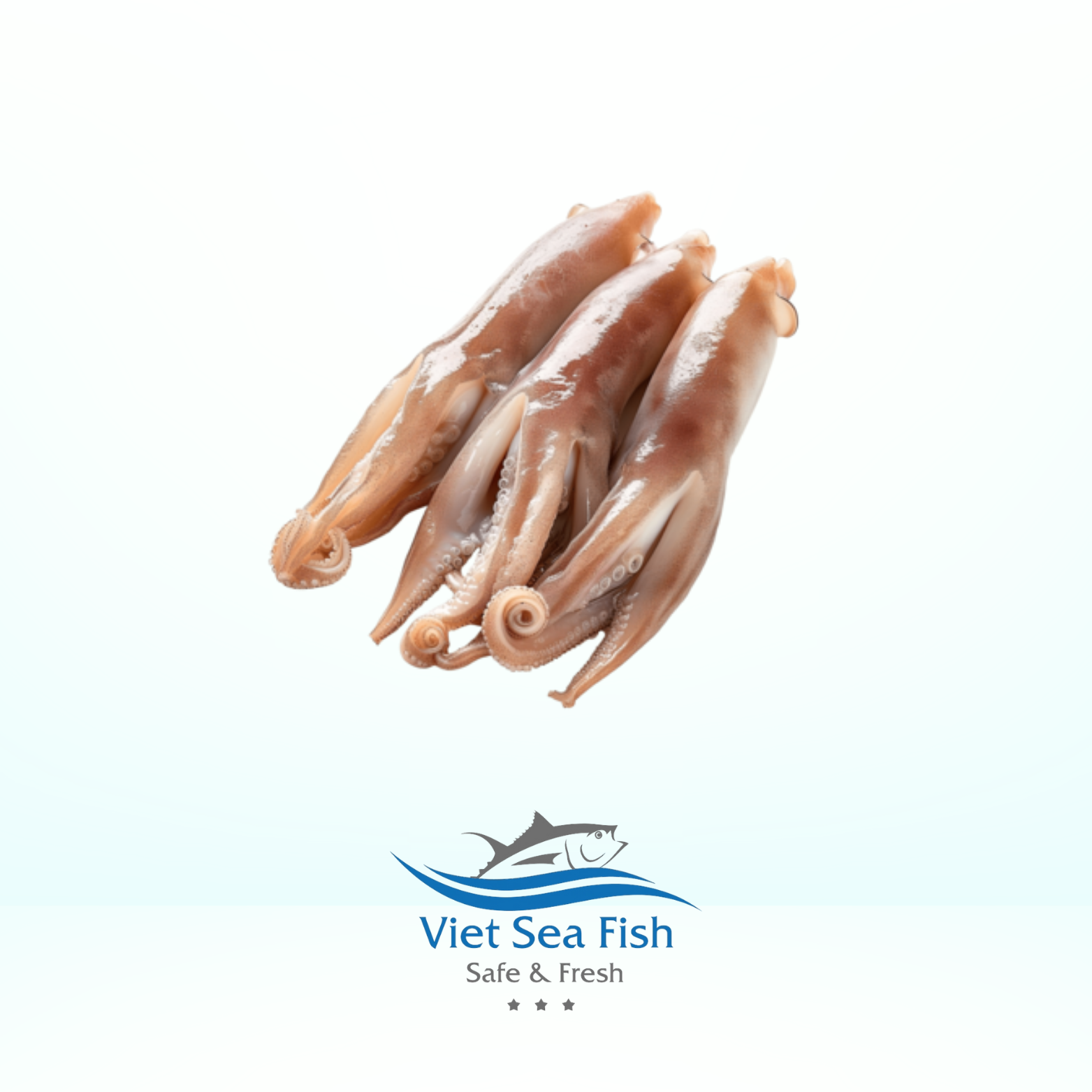 Squid Heads.png
