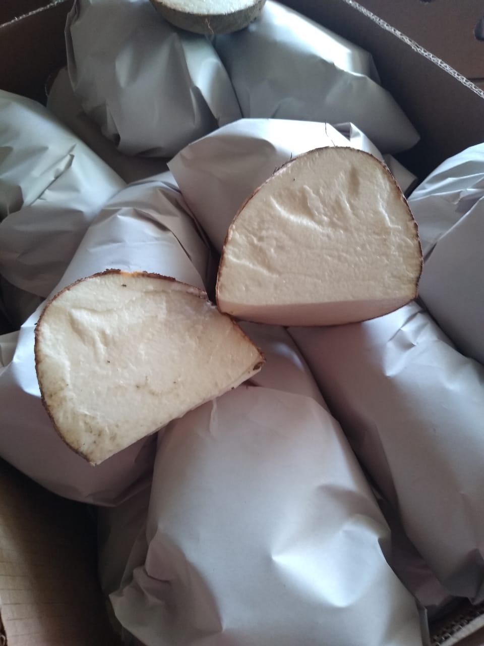 image6.jpeg