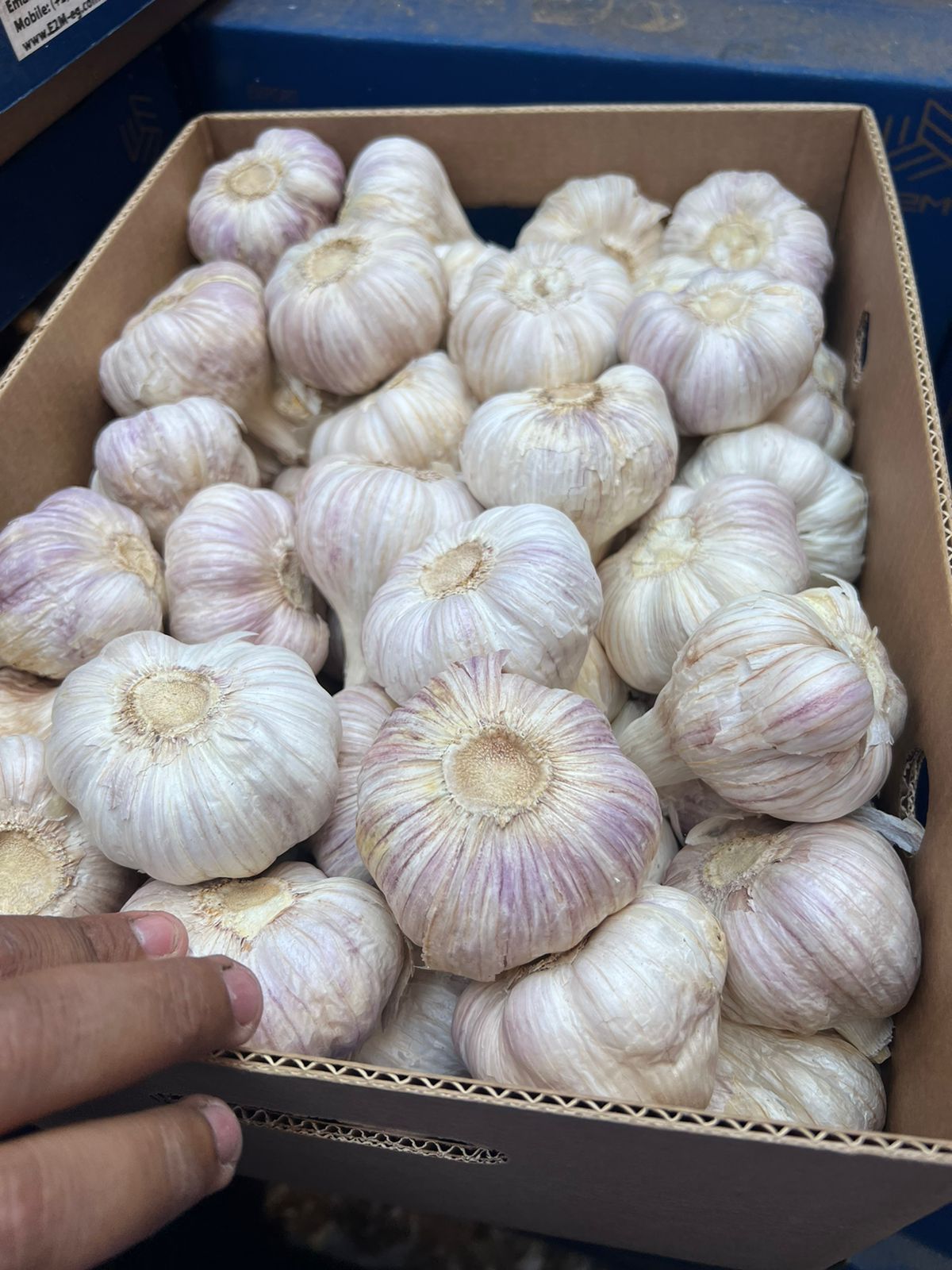 WhatsApp Image 2022-05-26 at 12.16.36 PM (1).jpeg