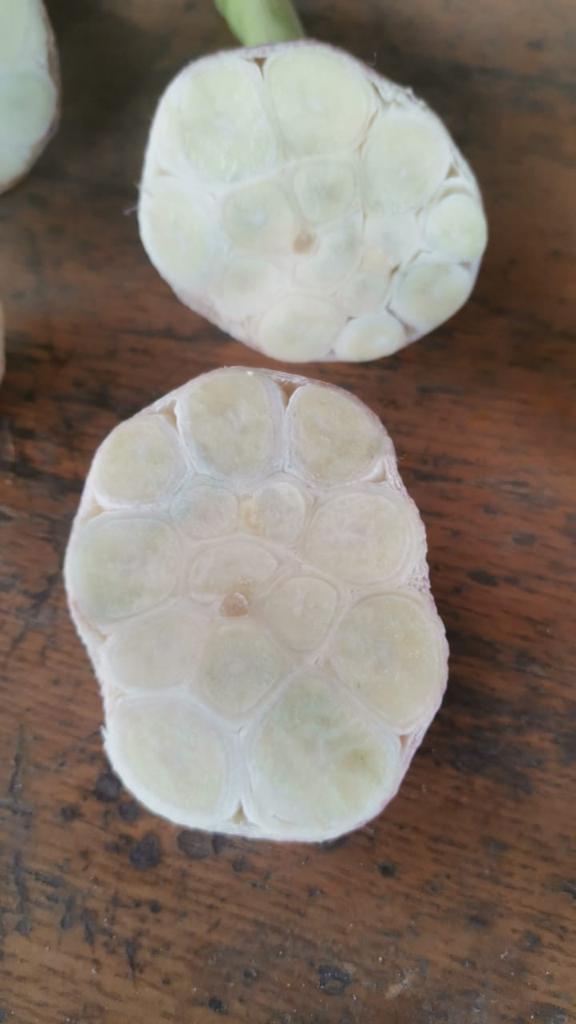 WhatsApp Image 2022-05-26 at 12.12.52 PM (4).jpeg