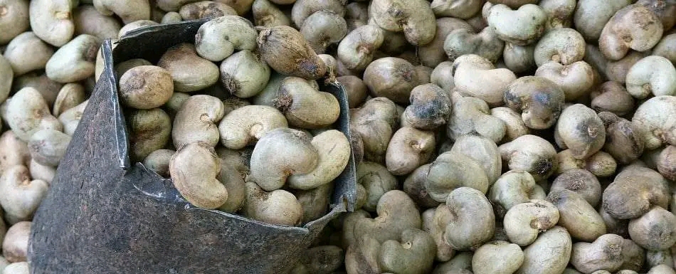 1680437775140.jpg