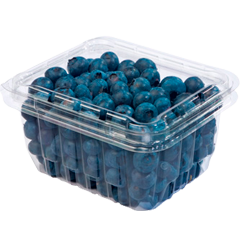 productos-arandanos-presentacion-480-g-clamshell.png