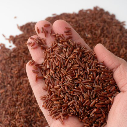 red-rice-hand.jpg