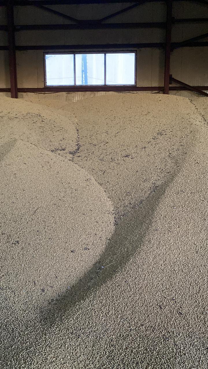 Изображение WhatsApp 2024-05-18 в 12.35.31_45536a0a.jpg