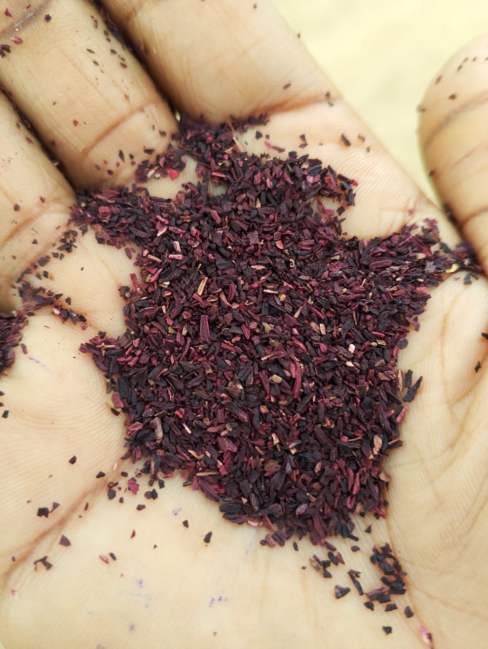 Hibiscus teacuts 2.jpg