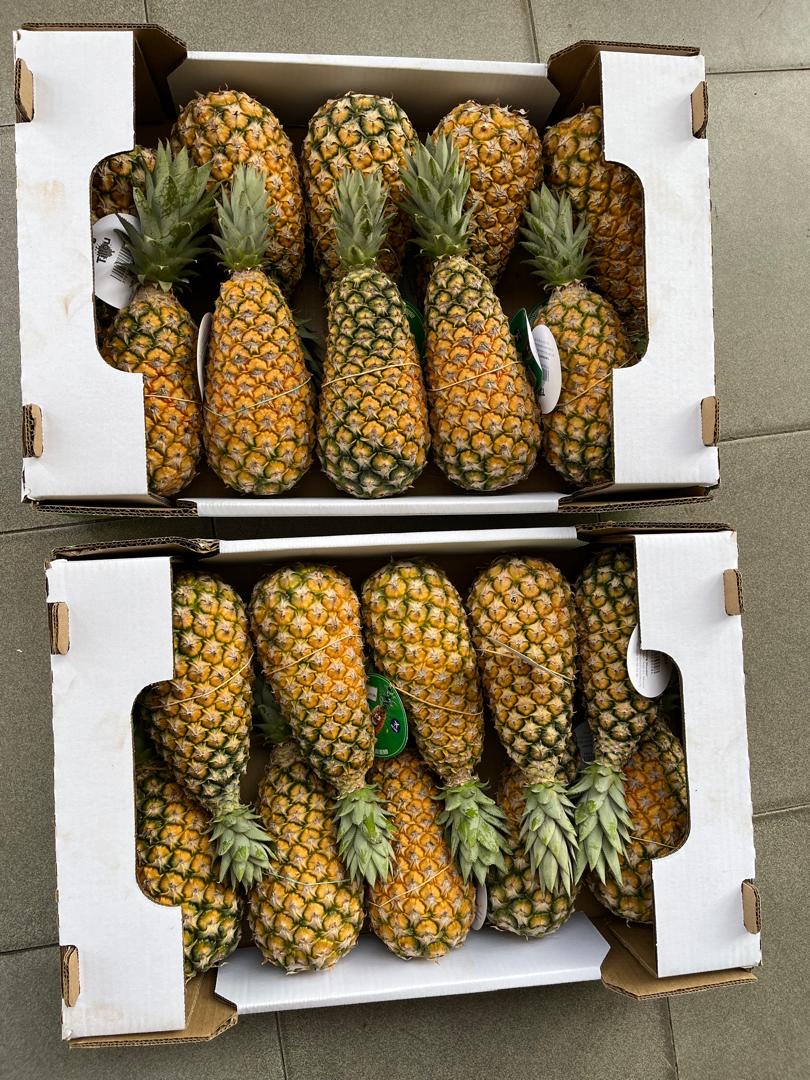 Pain-de-Sucre-Bénin #kodra-export 5.JPG