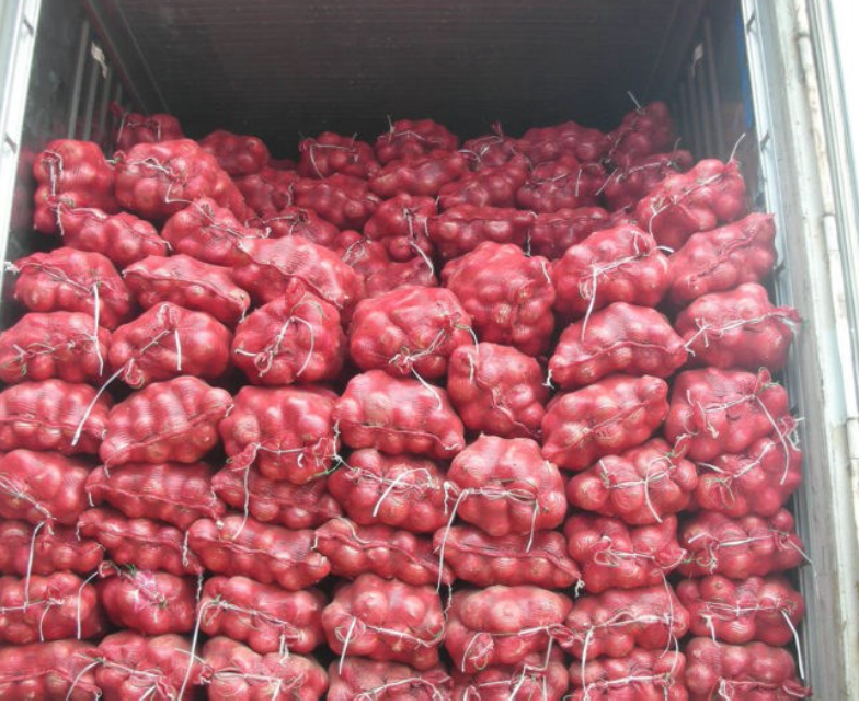 Onion Container loading.PNG