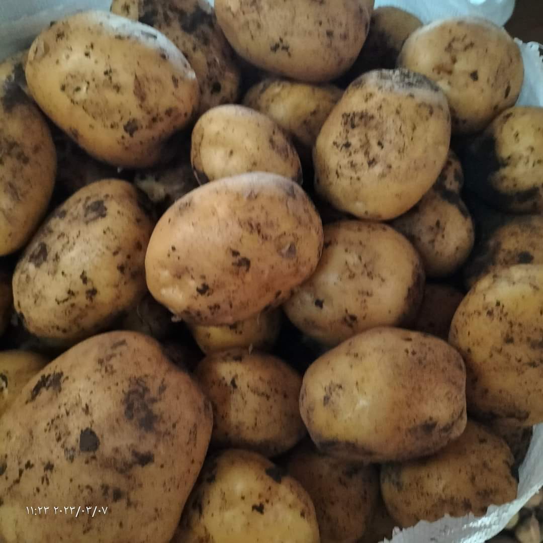 WhatsApp Image 2023-04-11 at 1.22.42 AM.jpeg