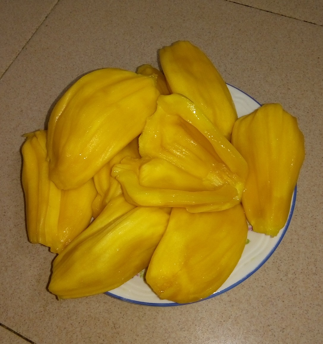 Jackfruit 1.jpg