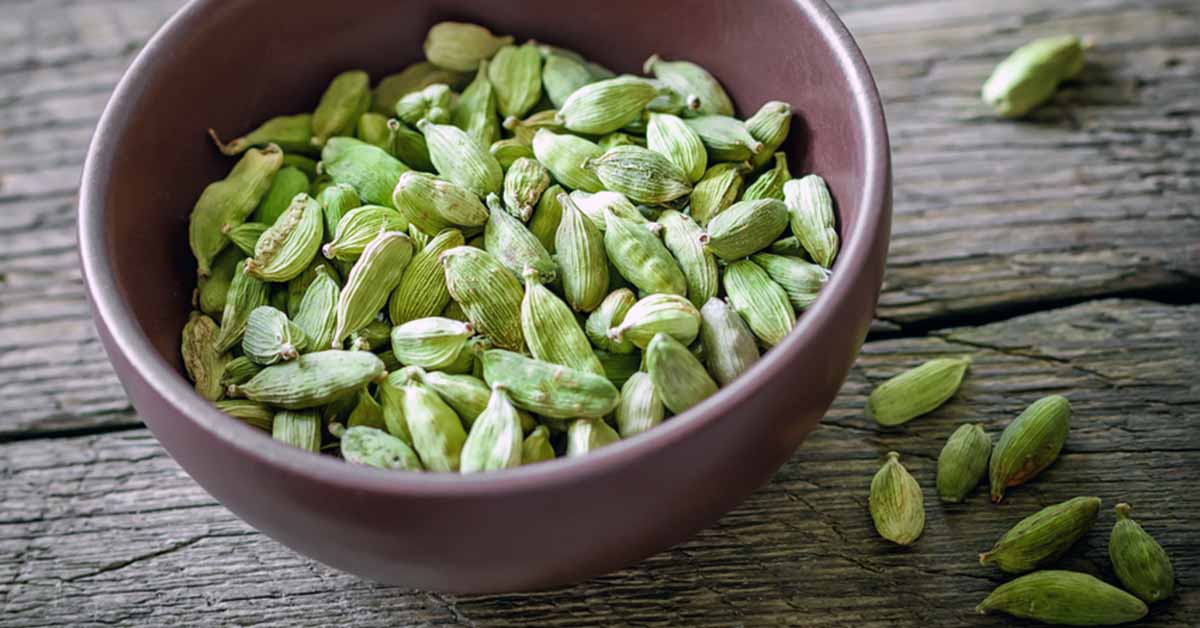 cardamom-fb.jpg