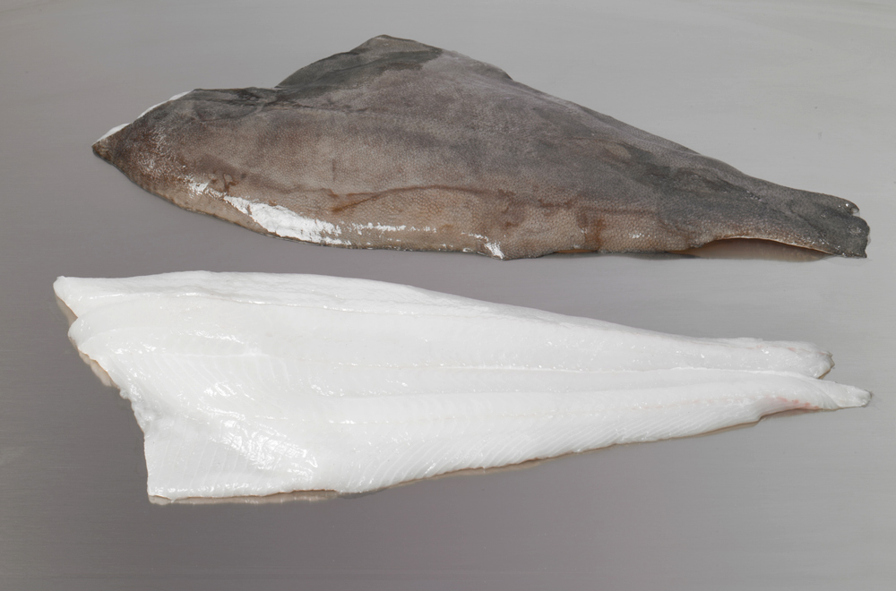 Greenland-Halibut-fillets-skin-on.jpg