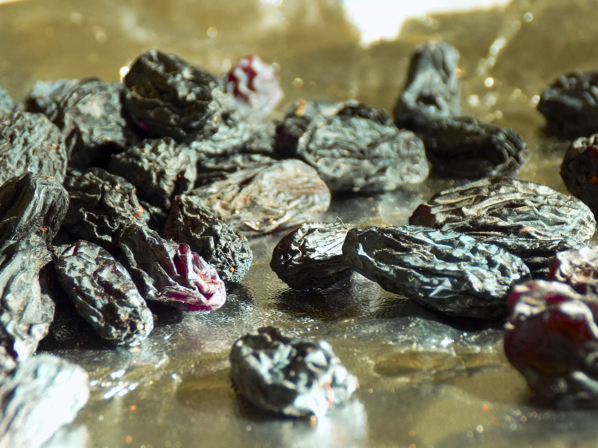 raisin-5163641_1920.jpg