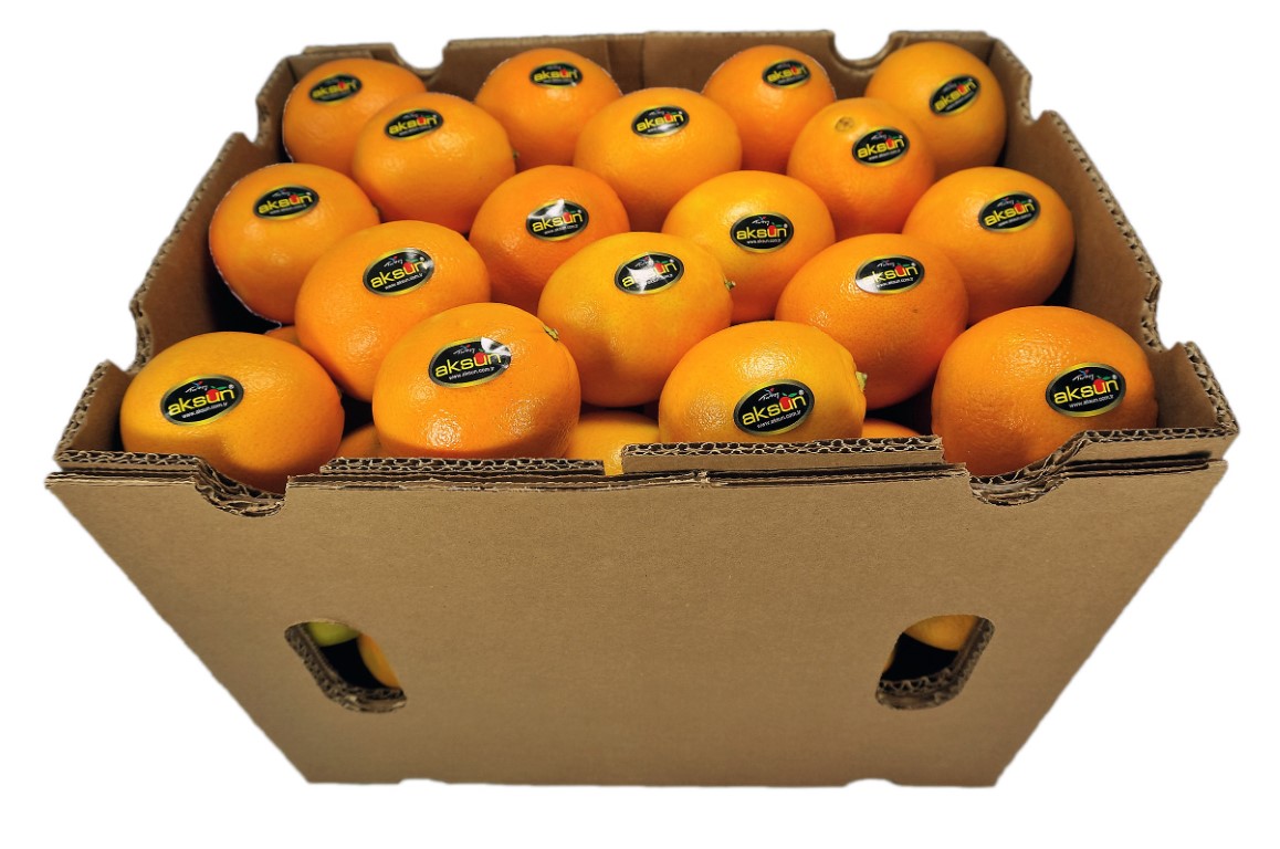 Orange Telescopic 88_2.jpg
