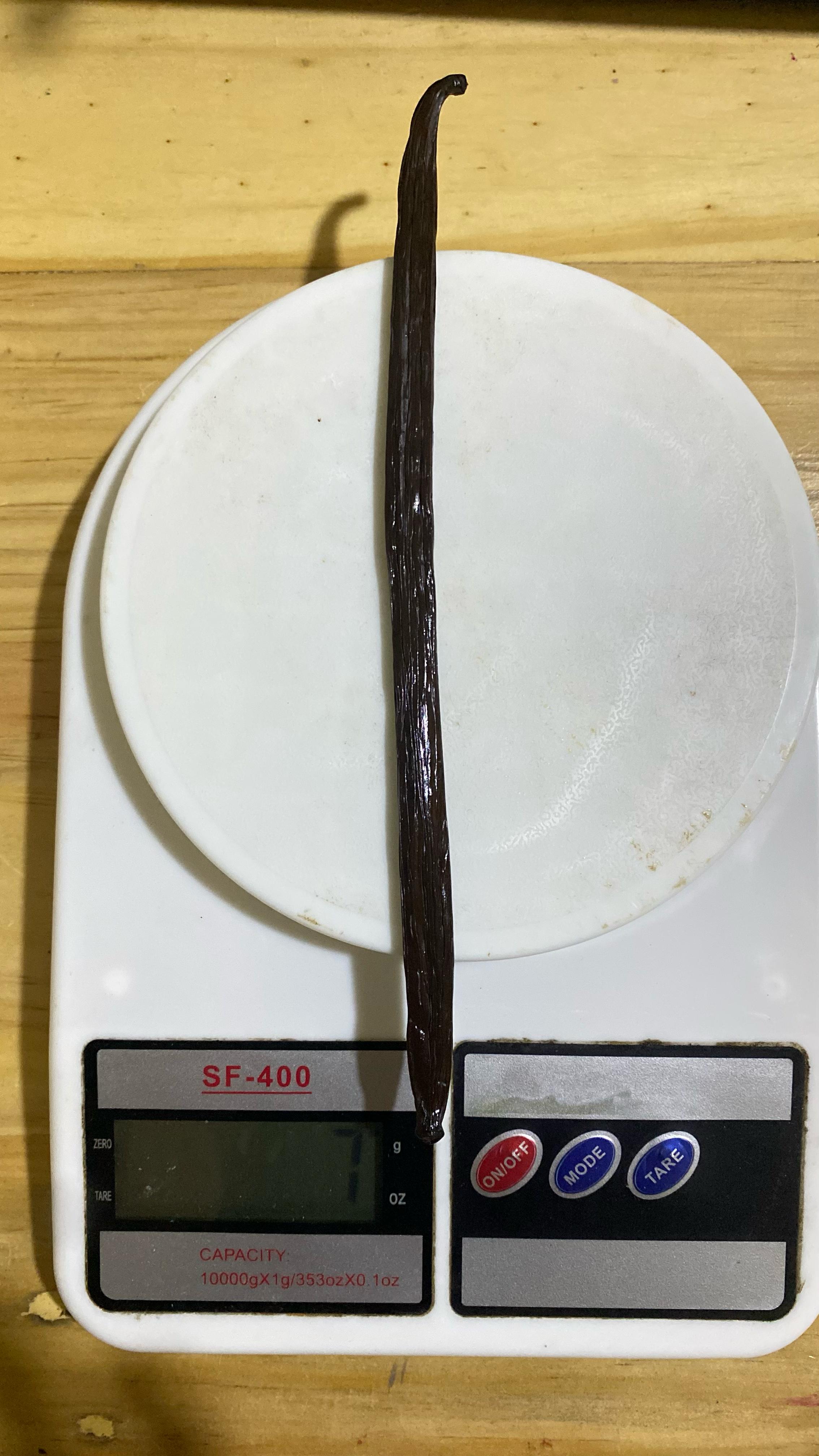 Gramasi Vanilla Tahitian Gourmet 16cm.jpg