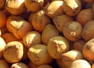 tender_coconut_small.jpg