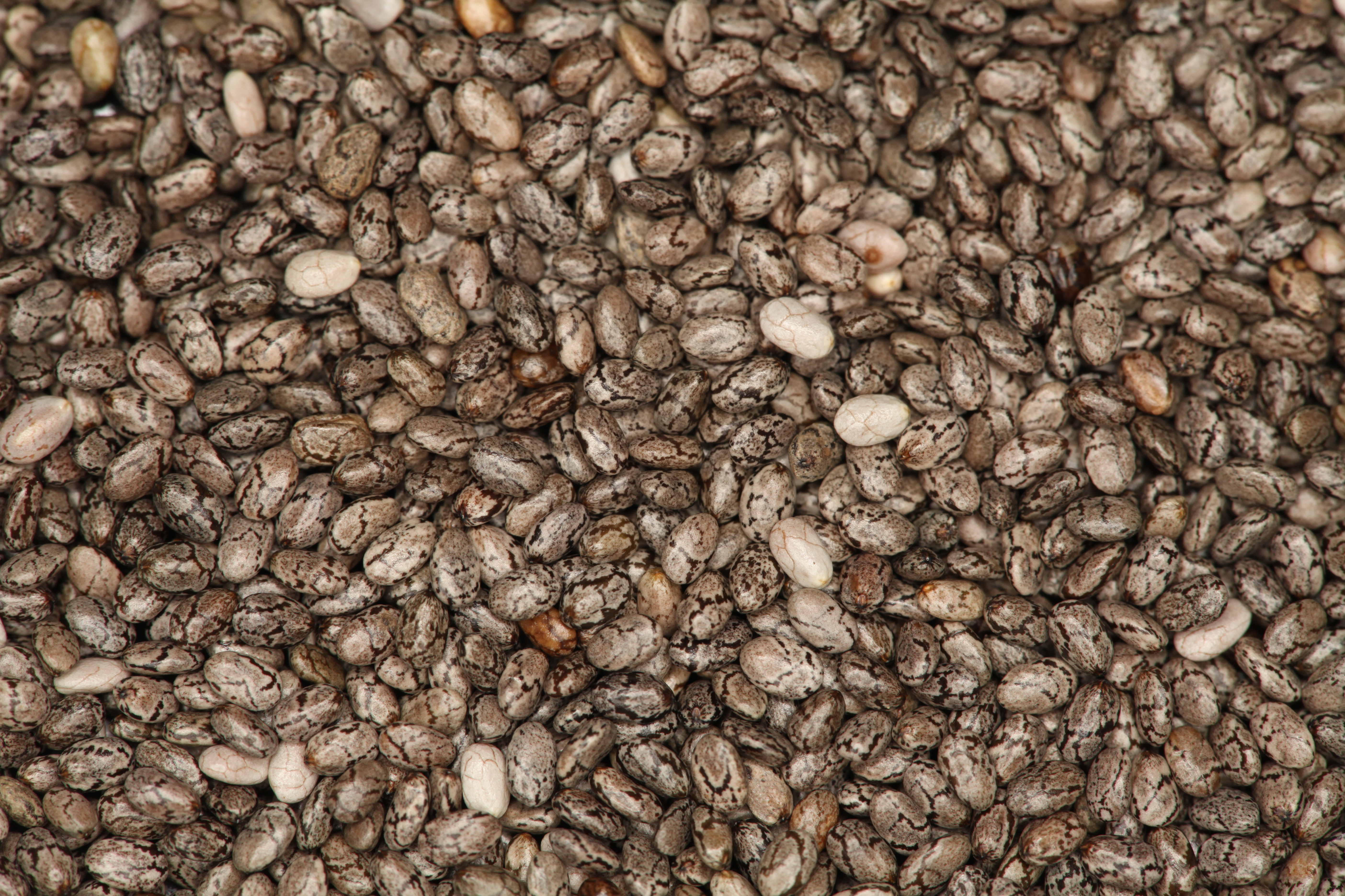 Chia_Seeds_macro_2.jpg