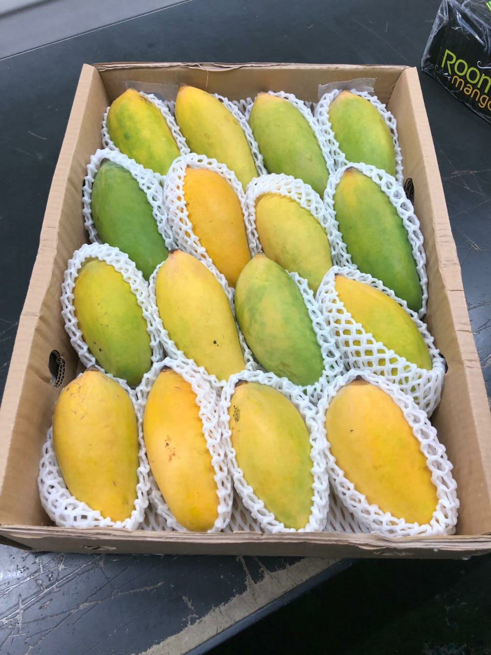 Japan Mango Pack_Sindhri (22).jpeg