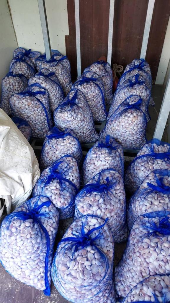 WhatsApp Image 2022-05-26 at 12.12.51 PM.jpeg