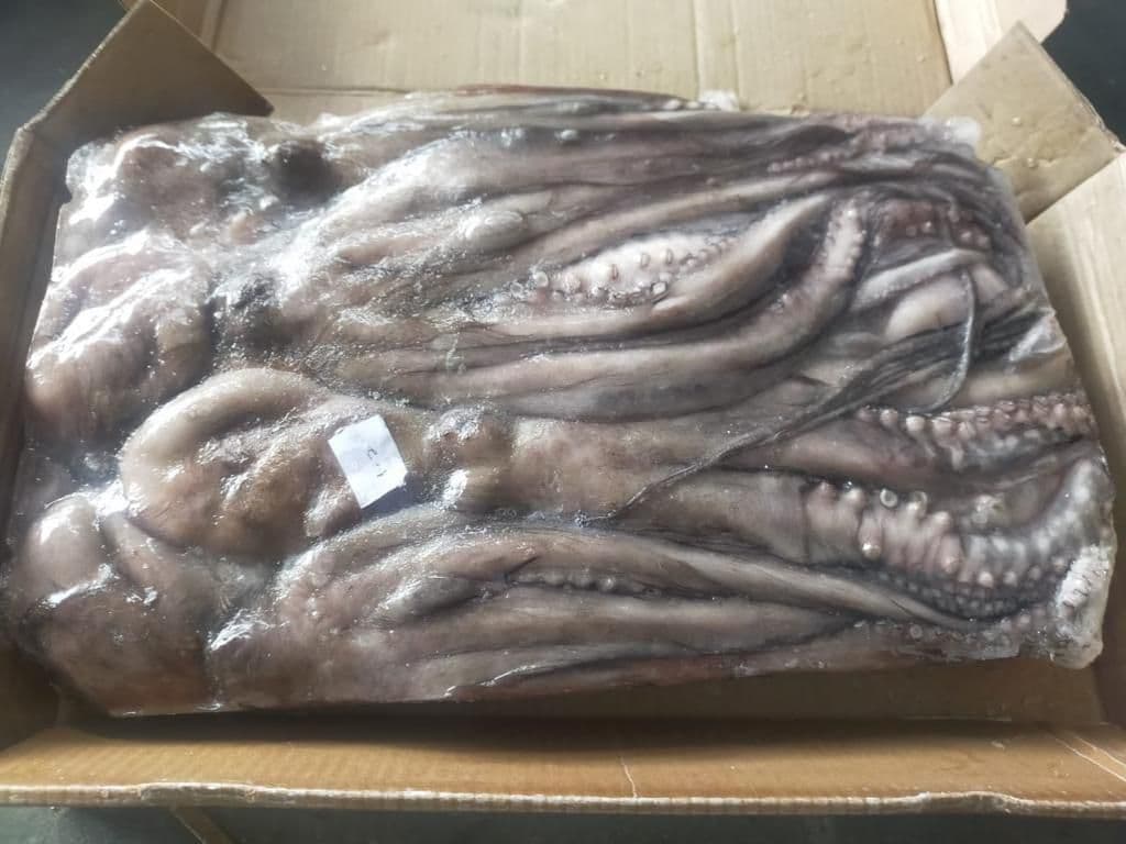 Octopus Vulgaris_Size 1-2Kg_Block Frozen_01.jpg