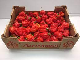 Frutas Alhambra SL - Packaged Products