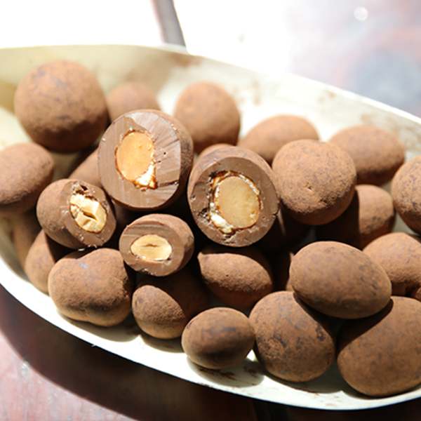 mặt cắt.png