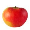 Elstar-01-small.jpg