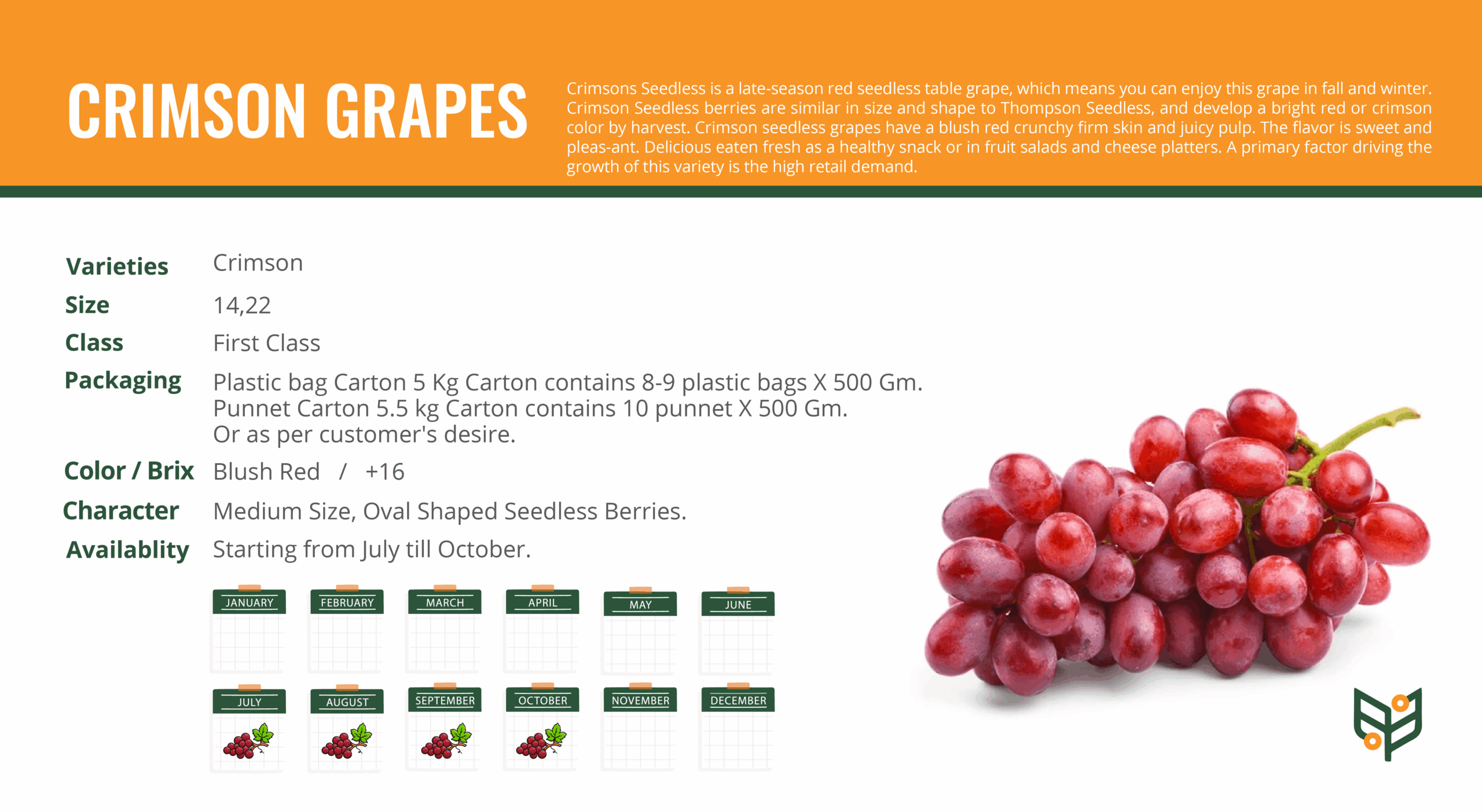 CRIMSON-GRAPES-scaled.png