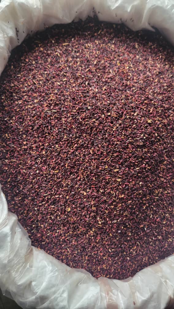 HIBISCUS TBC (3).jpeg