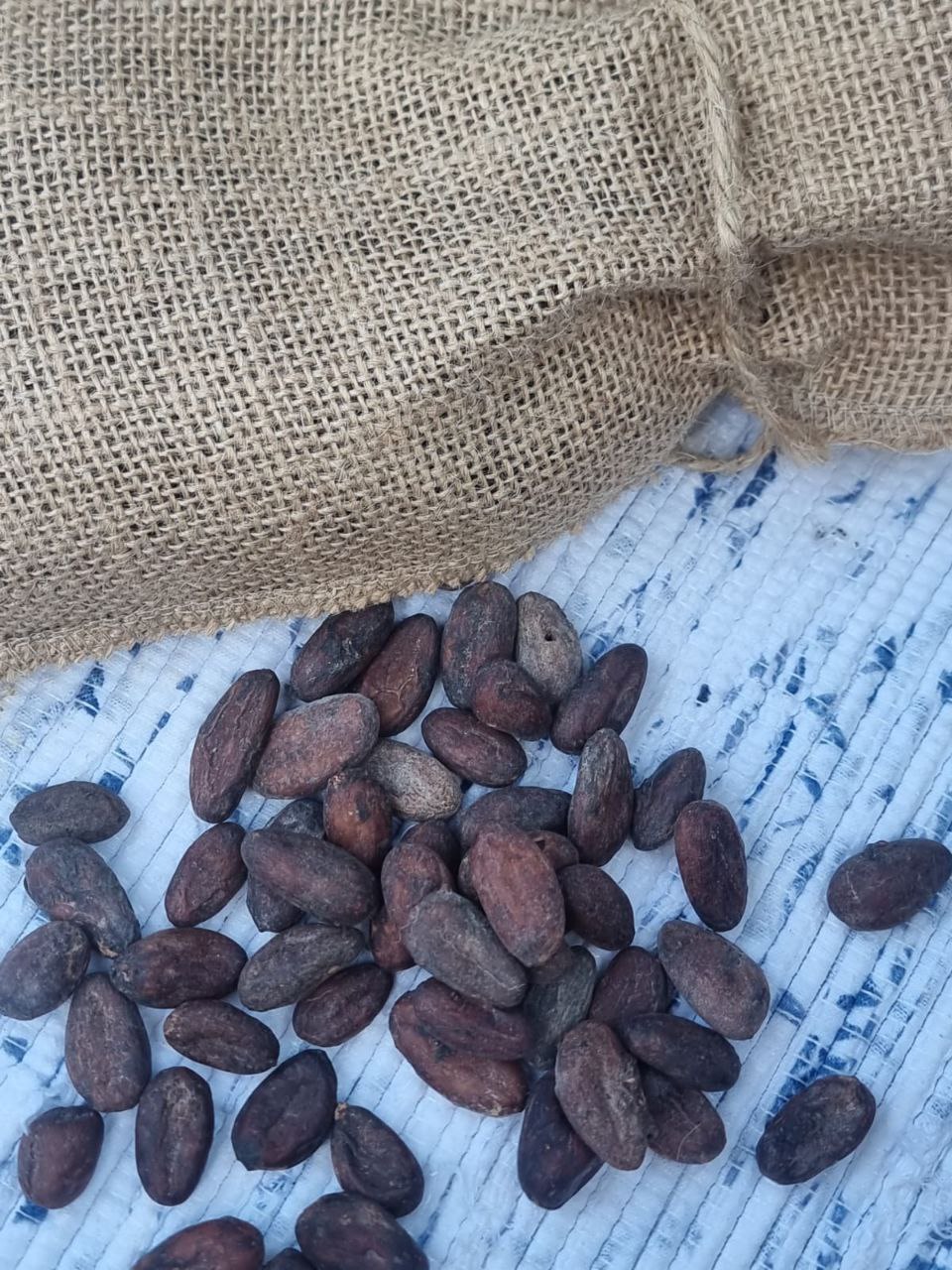 photo_2025-11-03 17.59.10.jpeg