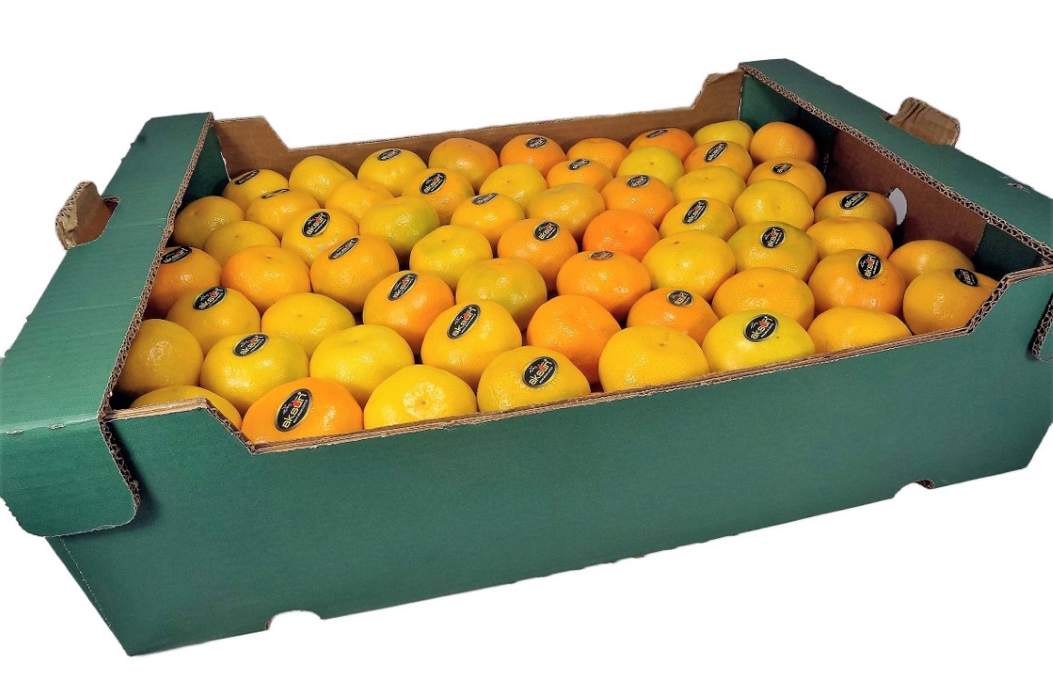 Mandarin Loose 1.jpg
