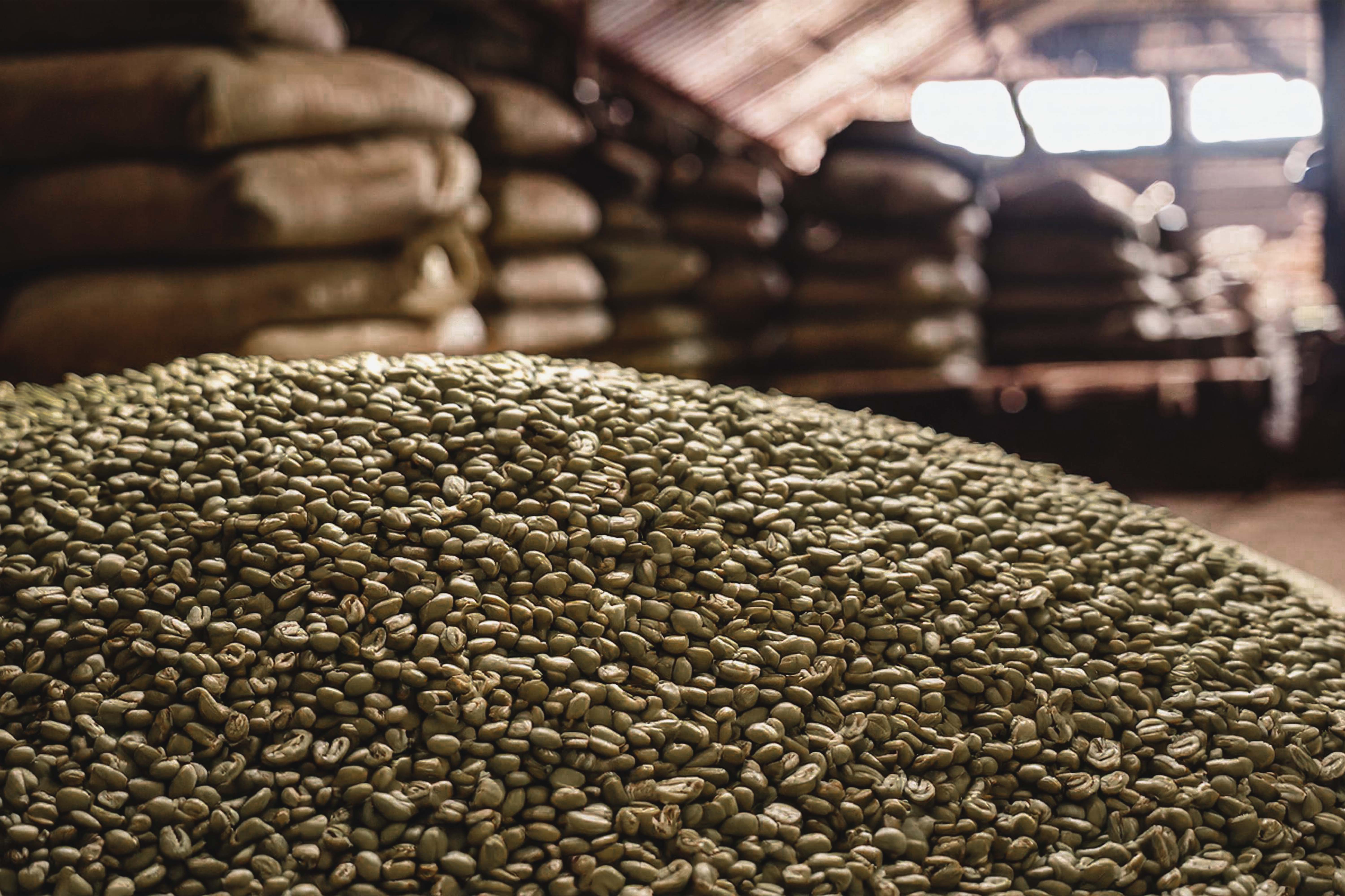 Arabica Green Coffee Beans - 1.jpg
