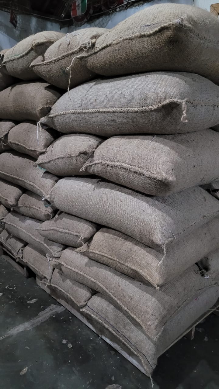 Robusta Green bean.jpg