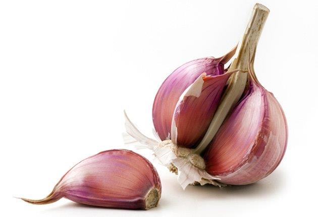 bulbo-diente-morado.jpg