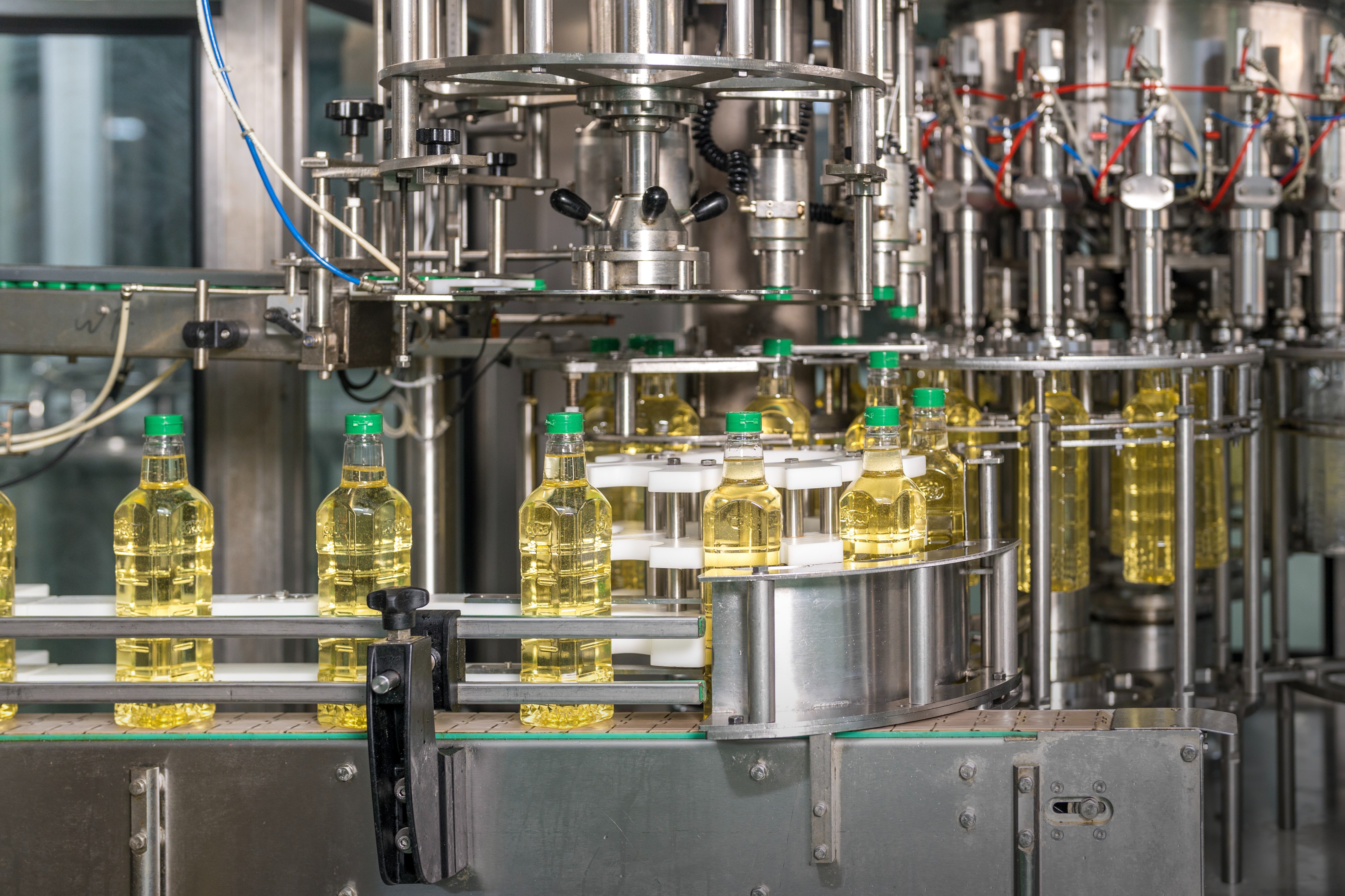 day chuyen dong chai.jpg