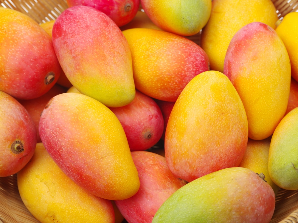 lots-of-mangoes.jpg