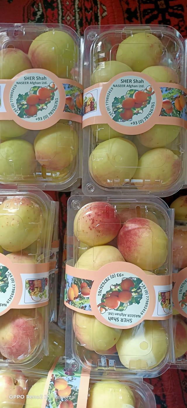 110041475_944850495988560_6834444630356783438_n (1).jpg