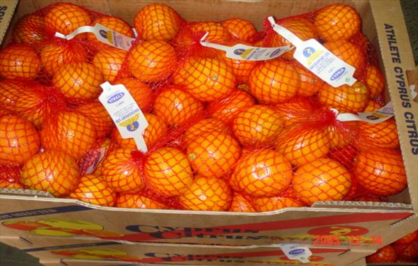 Mineola Nets x1 kg.jpg