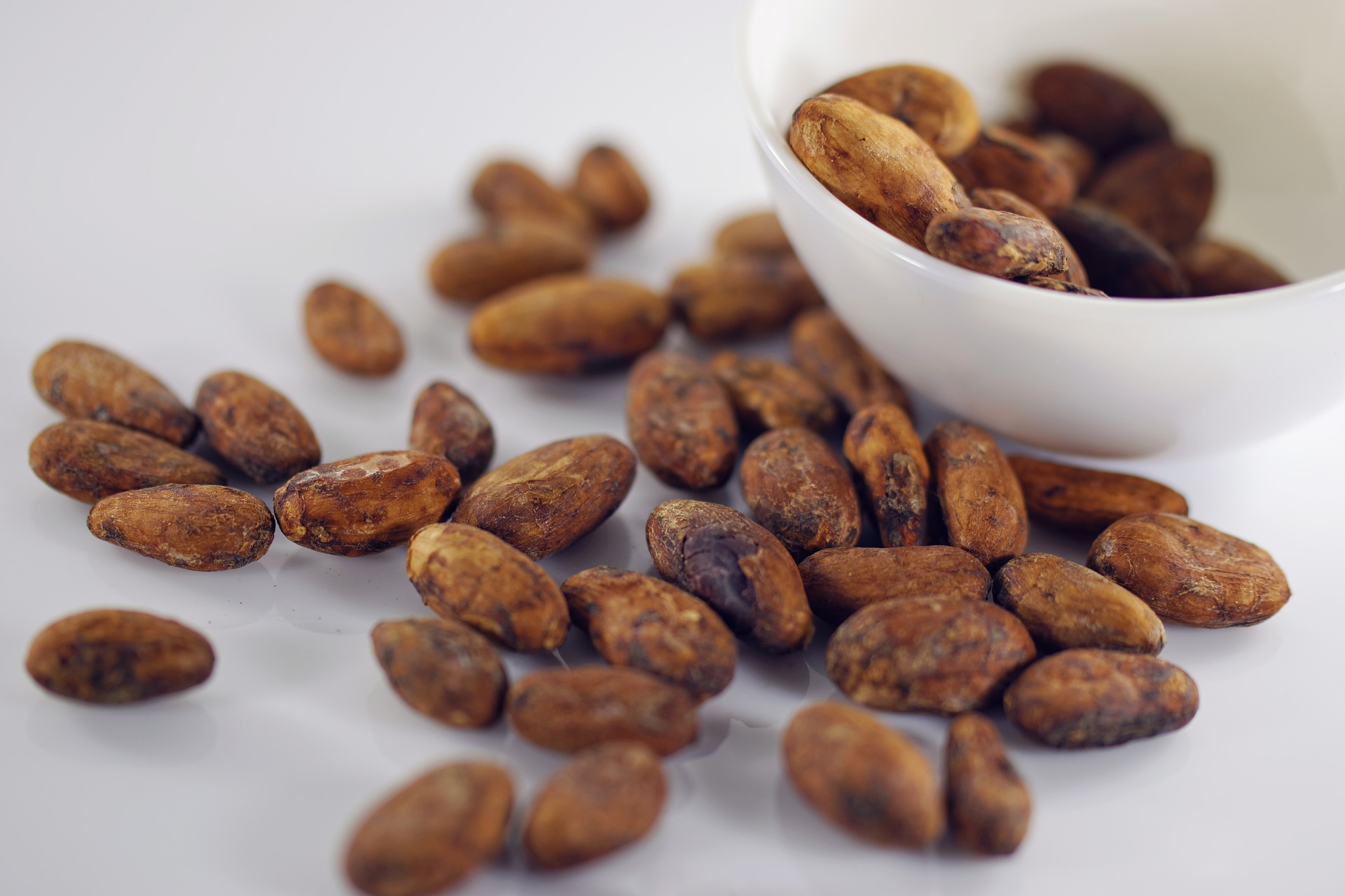 cocoa-beans-gbfd53ca77_1920.jpg
