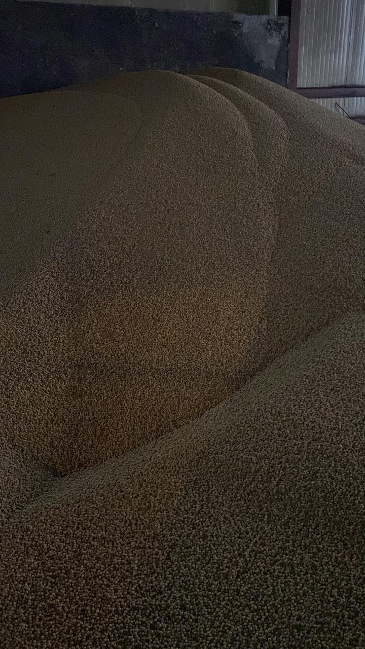 Изображение WhatsApp 2024-05-18 в 12.35.31_c62b1047.jpg