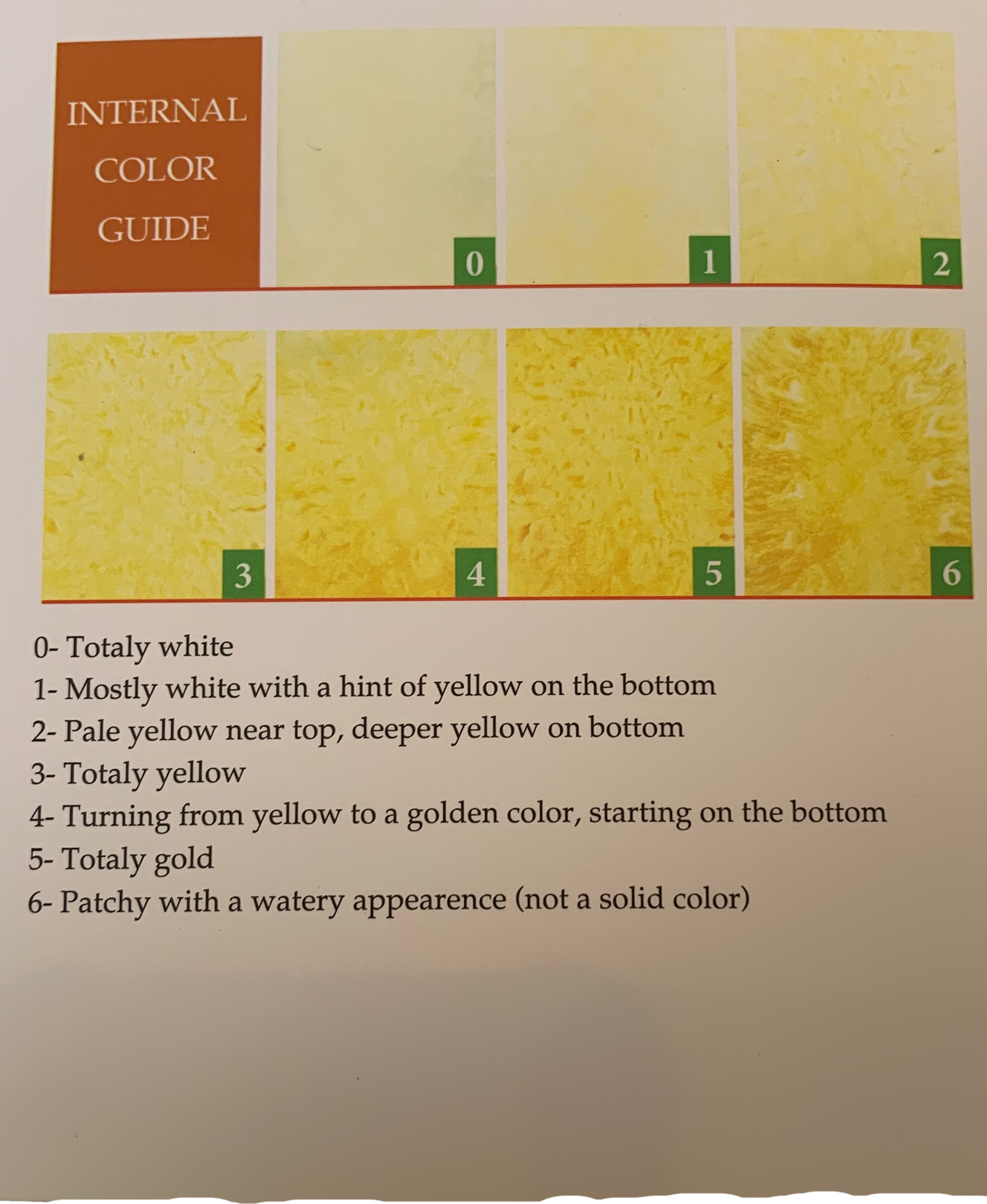 image1 (6)-cutout.png