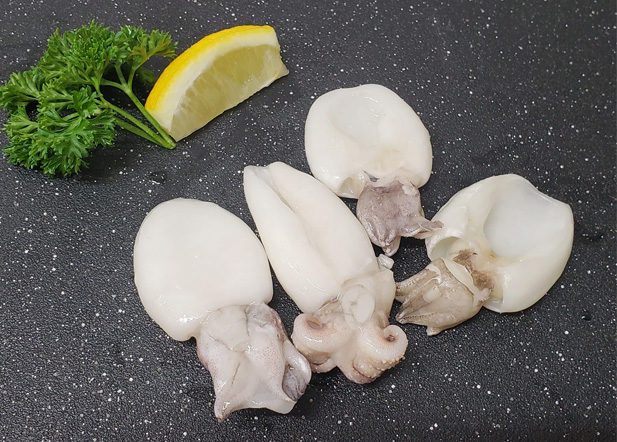 malpefish-marine-export-cuttle-fish.jpg