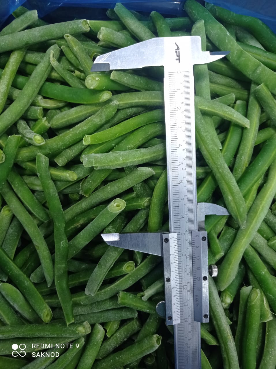 Whole green beans  (7).jpeg