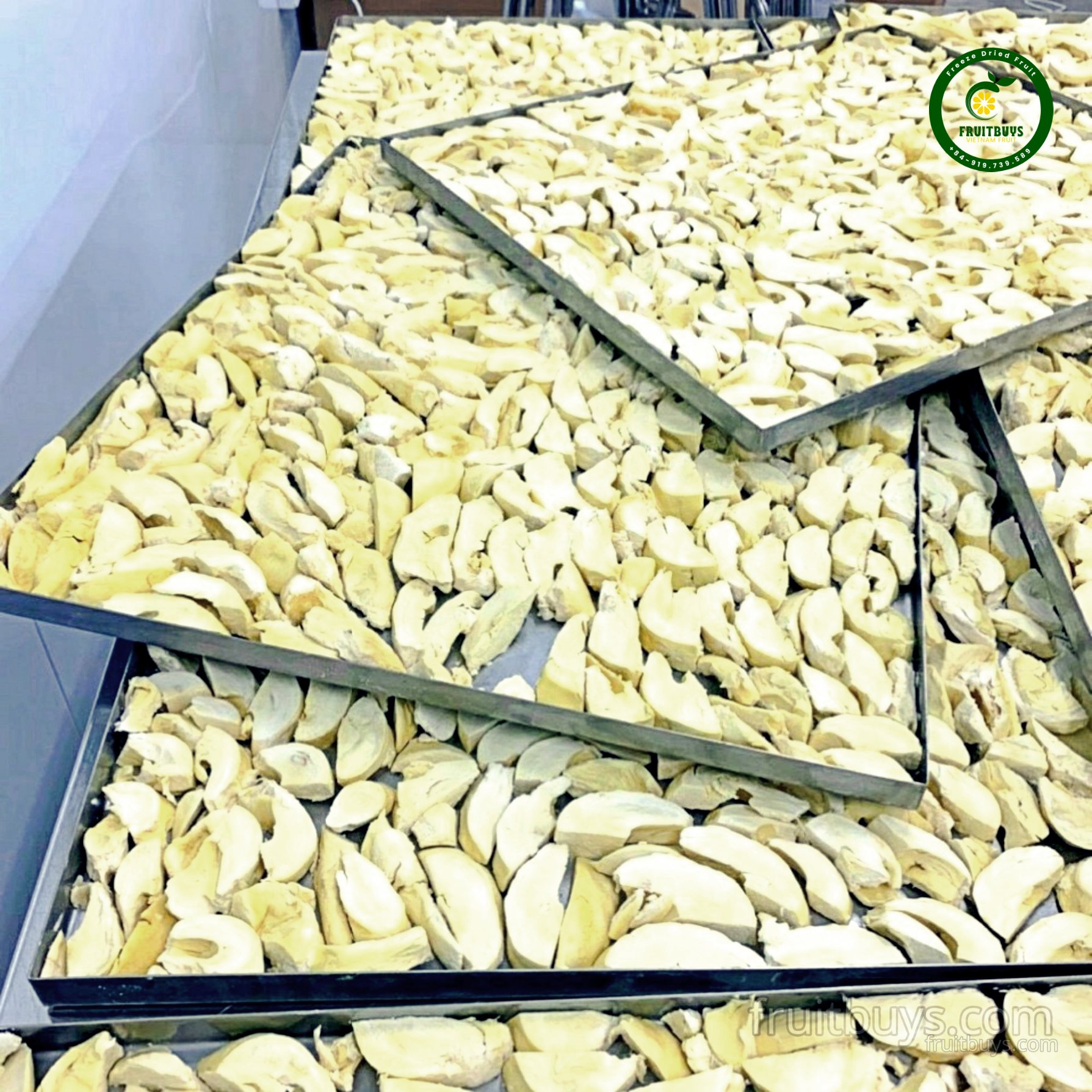 Freeze-Dried Durian Fruit-FruitBuys Vietnam (4).jpg