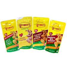 GFI Enterprises, Inc.