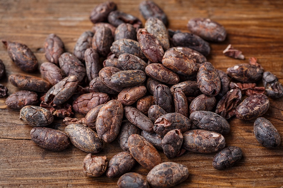 cocoa1.jpg